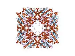1qk1: CRYSTAL STRUCTURE OF HUMAN UBIQUITOUS MITOCHONDRIAL CREATINE KINASE