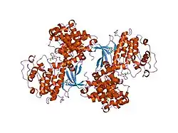1qmz: PHOSPHORYLATED CDK2-CYCLYIN A-SUBSTRATE PEPTIDE COMPLEX