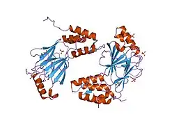 1qwt: Auto-inhibitory interferon regulation factor-3 (IRF3) transactivation domain