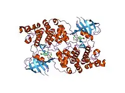 1r0e: Glycogen synthase kinase-3 beta in complex with 3-indolyl-4-arylmaleimide inhibitor