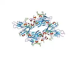 1rpq: High Affinity IgE Receptor (alpha chain) Complexed with Tight-Binding E131 'zeta' Peptide from Phage Display