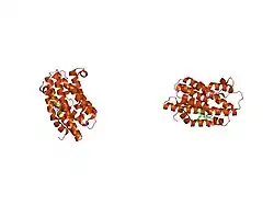 1s13: Human Heme Oxygenase Oxidatition of alpha- and gamma-meso-Phenylhemes