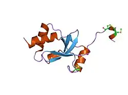 1sbx: Crystal structure of the Dachshund-homology domain of human SKI