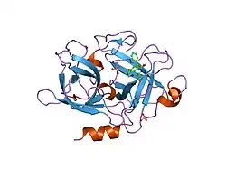 1sc8: Urokinase Plasminogen Activator B-Chain-J435 Complex
