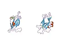 1shx: Ephrin A5 ligand structure