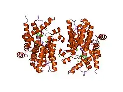 1tbb: Catalytic Domain Of Human Phosphodiesterase 4D In Complex With Rolipram