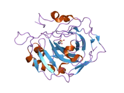 1tg3: Effect of Shuttle Location and pH Environment on H+ Transfer in Human Carbonic Anhydrase II