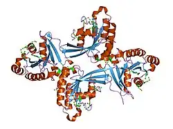 1tu4: Crystal Structure of Rab5-GDP Complex