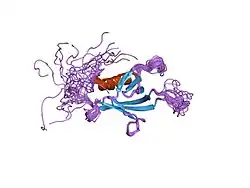 1v5m: Solution Structure of the Pleckstrin Homology Domain of Mouse APS