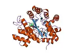 1v7a: Crystal structures of adenosine deaminase complexed with potent inhibitors