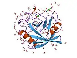 1vbs: STRUCTURE OF CYCLOPHILIN COMPLEXED WITH (D)ALA CONTAINING TETRAPEPTIDE