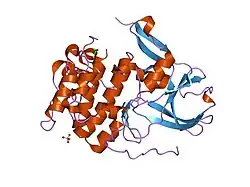 1vzo: THE STRUCTURE OF THE N-TERMINAL KINASE DOMAIN OF MSK1 REVEALS A NOVEL AUTOINHIBITORY CONFORMATION FOR A DUAL KINASE PROTEIN