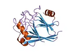 1w24: CRYSTAL STRUCTURE OF HUMAN VPS29