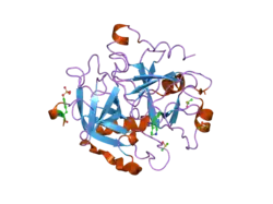 1way: ACTIVE SITE THROMBIN INHIBITORS