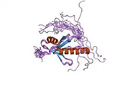 1wi0: Solution structure of the PB1 domain of mouse mitogen activated protein kinase kinase 5 (MAP2K5)