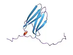 1wwc: NT3 BINDING DOMAIN OF HUMAN TRKC RECEPTOR