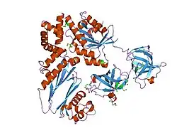1xb2: Crystal Structure of Bos taurus mitochondrial Elongation Factor Tu/Ts Complex