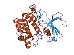 1xqz: Crystal Structure of hPim-1 kinase at 2.1 A resolution