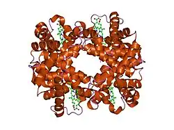 1y4p: T-To-T(high) quaternary transitions in human hemoglobin: betaW37E deoxy low-salt (10 test sets)