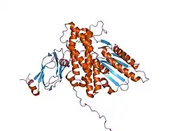 1y8n: Crystal structure of the PDK3-L2 complex