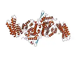 1ya0: Crystal structure of the N-terminal domain of human SMG7