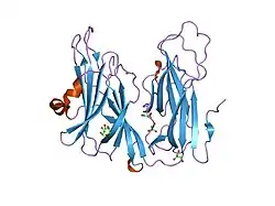 1yjk: Reduced Peptidylglycine Alpha-Hydroxylating Monooxygenase (PHM) in a New Crystal Form