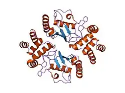 1yla: Ubiquitin-conjugating enzyme E2-25 kDa (Huntington interacting protein 2)