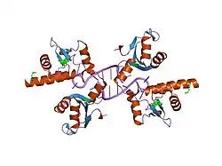 1yty: Structural basis for recognition of UUUOH 3'-termini of nascent RNA pol III transcripts by La autoantigen