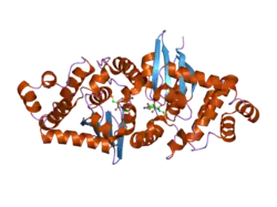 1yzx: Crystal structure of human kappa class glutathione transferase