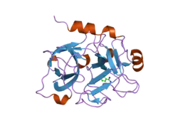 1zhr: Crystal Structure of the Catalytic Domain of Coagulation Factor XI in Complex with Benzamidine (S434A-T475A-C482S-K437A Mutant)