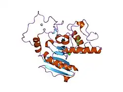 1zj0: Crystal Structure of Human Galactosyltransferase (GTB) Complexed with Lactose