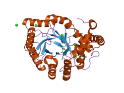 1zsx: Crystal Structure Of Human Potassium Channel Kv Beta-subunit (KCNAB2)