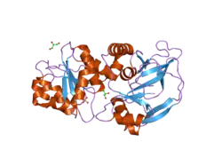 1zsy: The structure of human mitochondrial 2-enoyl thioester reductase (CGI-63)