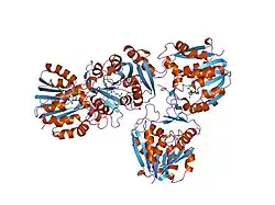 1zx0: Human guanidinoacetate N-methyltransferase with SAH