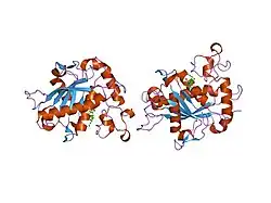 1zxc: Crystal structure of catalytic domain of TNF-alpha converting enzyme (TACE) with inhibitor