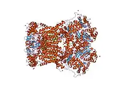 2a06: Bovine cytochrome bc1 complex with stigmatellin bound
