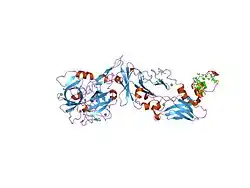 2a2q: Complex of Active-site Inhibited Human Coagulation Factor VIIa with Human Soluble Tissue Factor in the Presence of Ca2+, Mg2+, Na+, and Zn2+