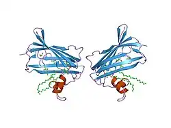 2ag4: Crystal Structure Analysis of GM2-activator protein complexed with phosphatidylcholine