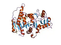 2am5: Crystal Structure of N-Acetylglucosaminyltransferase I in Complex with UDP