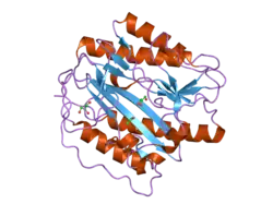 2b3l: Crystal structure of type I human methionine aminopeptidase in the apo form