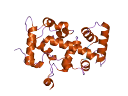 2bec: Crystal structure of CHP2 in complex with its binding region in NHE1 and insights into the mechanism of pH regulation