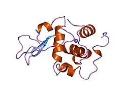 2bqj: CONTRIBUTION OF HYDROPHOBIC EFFECT TO THE CONFORMATIONAL STABILITY OF HUMAN LYSOZYME