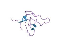 2bzx: ATOMIC MODEL OF CRKL-SH3C MONOMER