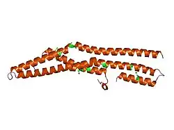 2c08: RAT ENDOPHILIN A1 BAR DOMAIN