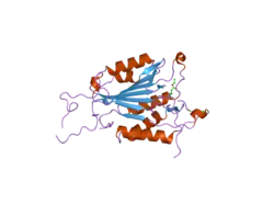 2c2k: CRYSTAL STRUCTURES OF CASPASE-3 IN COMPLEX WITH AZA-PEPTIDE MICHAEL ACCEPTOR INHIBITORS.