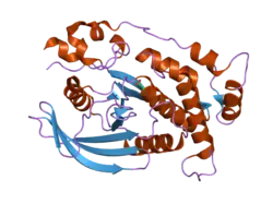 2c7s: CRYSTAL STRUCTURE OF HUMAN PROTEIN TYROSINE PHOSPHATASE KAPPA AT 1.95A RESOLUTION