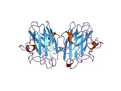 2c9v: ATOMIC RESOLUTION STRUCTURE OF CU-ZN HUMAN SUPEROXIDE DISMUTASE
