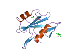 2cia: HUMAN NCK2 SH2-DOMAIN IN COMPLEX WITH A DECAPHOSPHOPEPTIDE FROM TRANSLOCATED INTIMIN RECEPTOR (TIR) OF EPEC