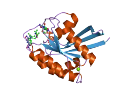 2clc: CRYSTAL STRUCTURE ANALYSIS OF A FLUORESCENT FORM OF H-RAS P21 IN COMPLEX WITH GTP (2)