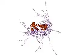 2cru: Solution structure of programmed cell death 5